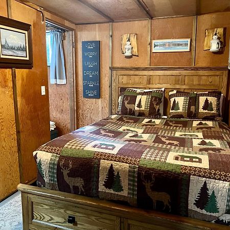 Mt Rainier Little Green Cabin On Big Creek! Эшфорд Экстерьер фото
