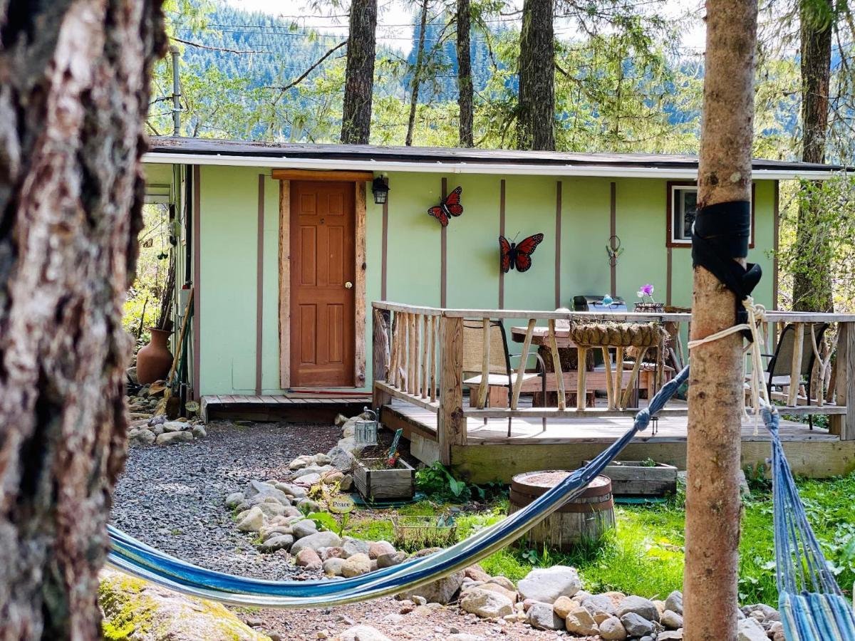 Mt Rainier Little Green Cabin On Big Creek! Эшфорд Экстерьер фото