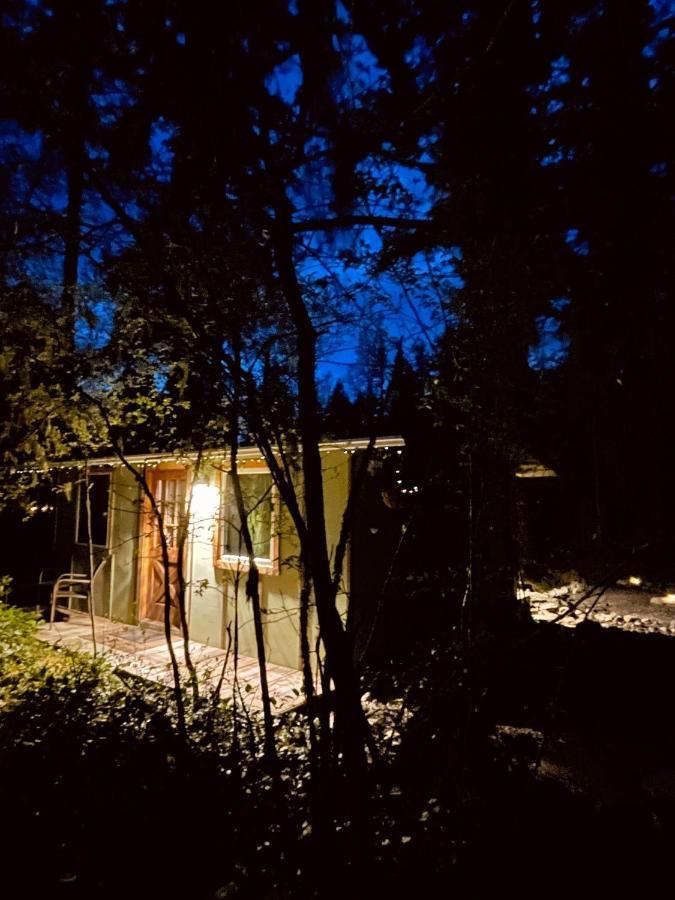 Mt Rainier Little Green Cabin On Big Creek! Эшфорд Экстерьер фото