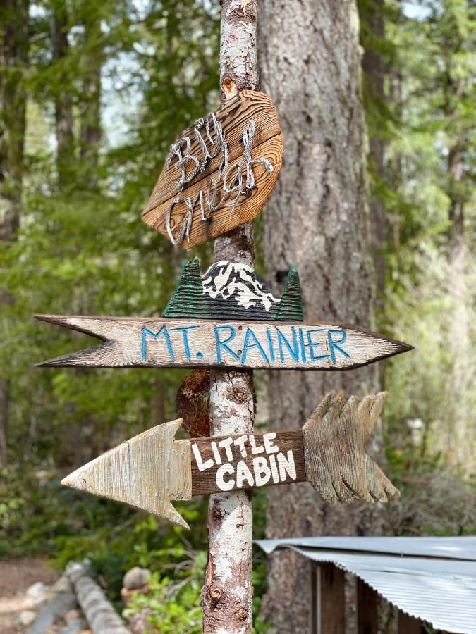 Mt Rainier Little Green Cabin On Big Creek! Эшфорд Экстерьер фото