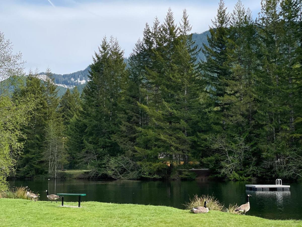 Mt Rainier Little Green Cabin On Big Creek! Эшфорд Экстерьер фото