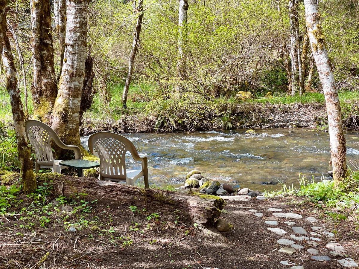 Mt Rainier Little Green Cabin On Big Creek! Эшфорд Экстерьер фото