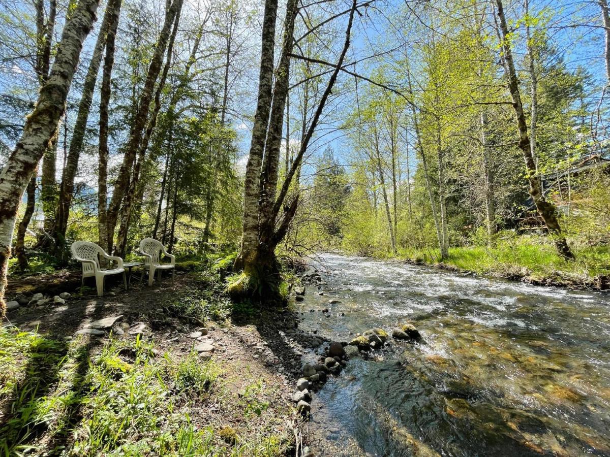 Mt Rainier Little Green Cabin On Big Creek! Эшфорд Экстерьер фото