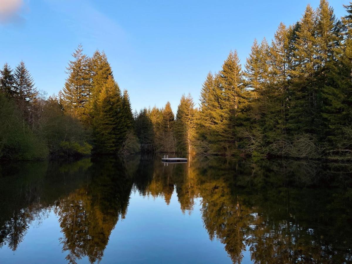 Mt Rainier Little Green Cabin On Big Creek! Эшфорд Экстерьер фото