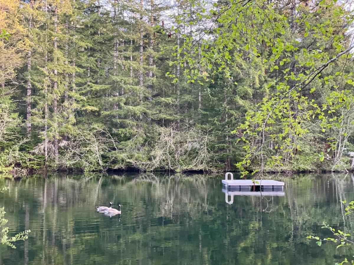 Mt Rainier Little Green Cabin On Big Creek! Эшфорд Экстерьер фото